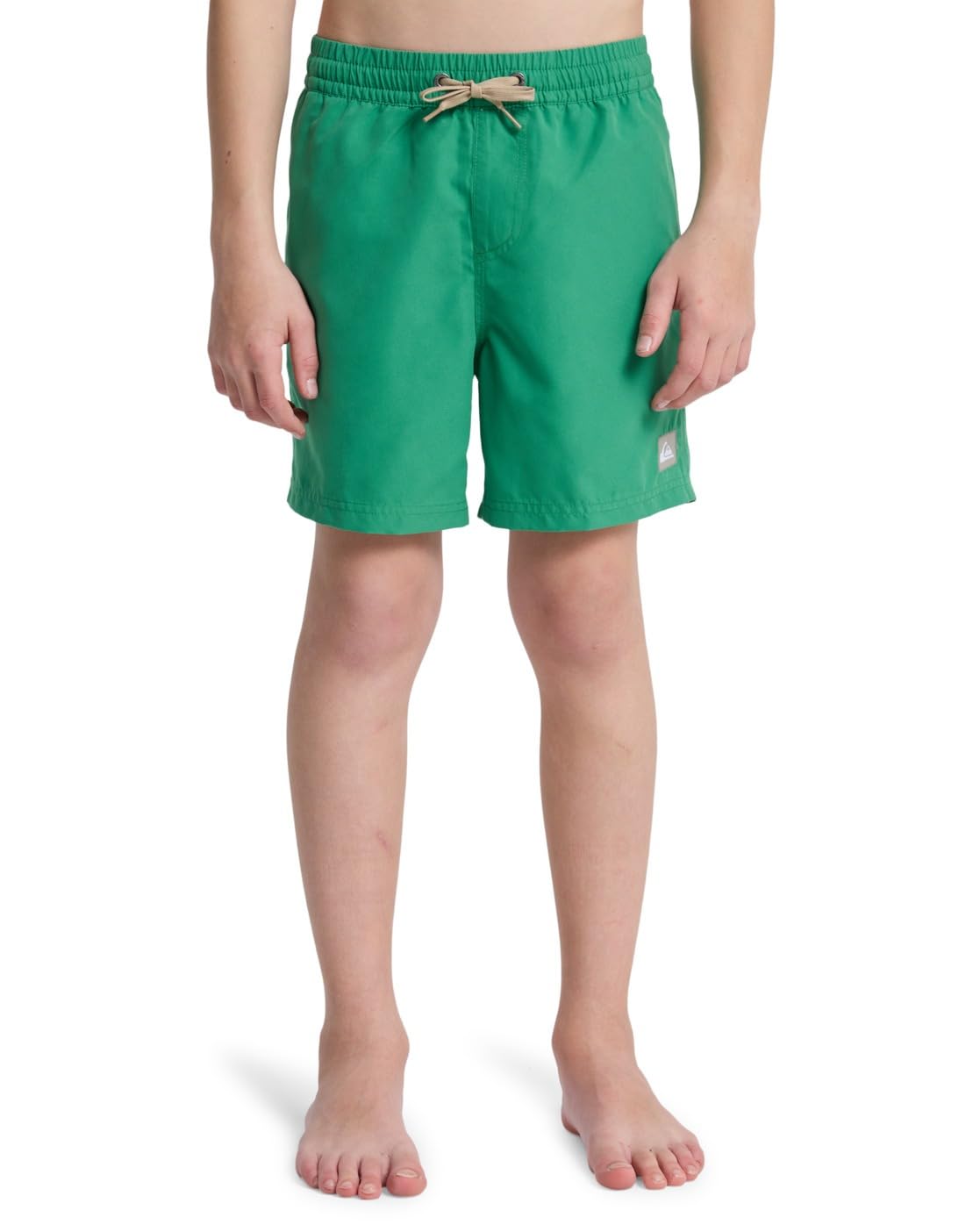 Quiksilver Boy's Everyday Volley YTH 14 Board Shorts, Leprechaun, Years