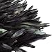 ANSUG Mujeres Falda de Plumas Negras Mini Pretina elástica Faldas de una...