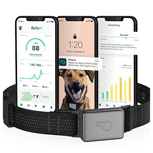 Whistle Switch GPS + Health + Fitness Smart Dog Collar, 24/7 Dog GPS Tracker Plus Dog Health & Fitness Monitor, Sleek Design, Waterproof, 2 Rechargeable Batteries, for Dogs 5lbs and up (Black) XS/S