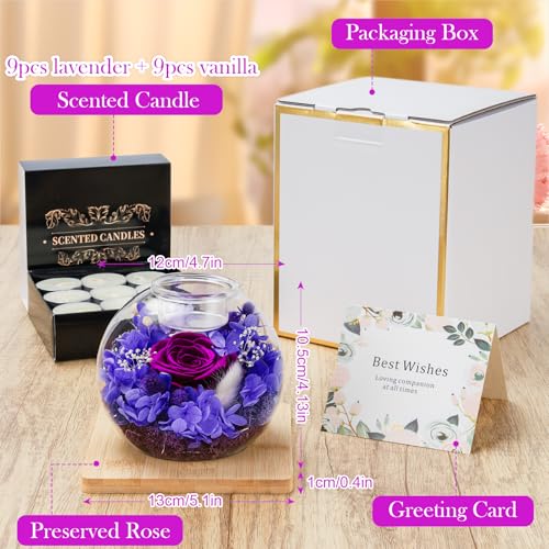 Miniatura 2 de Mestectpet Rosa Eterna En Vidrio, Set De Rosa Preservada Y Velas Perfumadas, Cumpleaños Día De La Madre San Valentín Aniversario Navidad Para Mamá Novia Esposa Y Mujer Morado