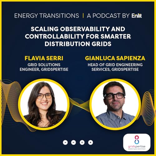 Scaling observability and controllability for smarter distribution grids
