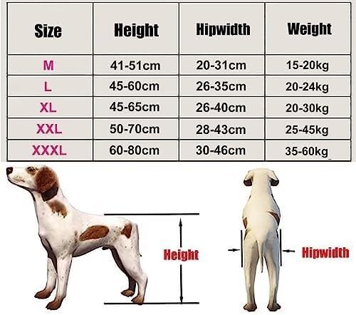 Accessoires de poussette et fauteuil roulant pour chien paralysé - 6