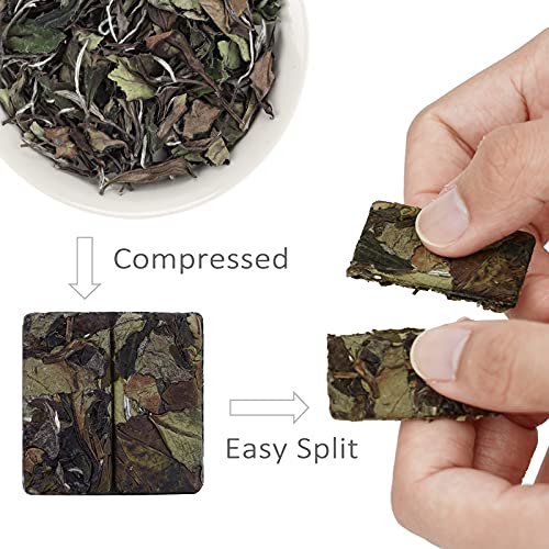 Taimei Teatime Premium Loose Leaf White Tea Compressed Tea Brick, White Peony Tea-Bai Mu Dan-Organically Grown In Fujian China, Low Caffeine, High Antioxidants Fuding White Tea, Portable To-Go Chinese Tea (24 Ct) #TOP3