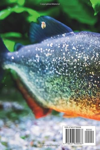 Piranha: Amazing Fact for Kids (Picture Book) (This Wonderful Planet)