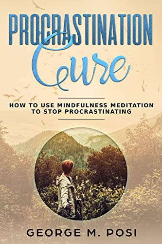 Procrastination Cure: How to Use Mindfulness Meditation to Stop Procrastinating (Techniques on how to set your mind and body for dealing with anxiety, ... loss. How to improve mental health.)