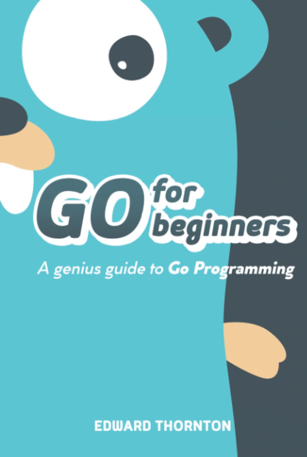 Go For Beginners: A Genius Guide to Go Programing