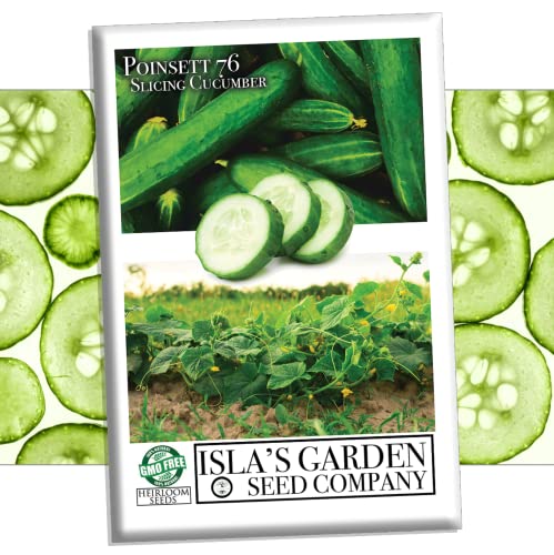 Poinsett 76 Slicing Cucumber Seeds For Planting, 50+ Heirloom Seeds Per Packet, (Isla's Garden Seeds), Non Gmo Seeds, Botanical Name: Cucumis Sativus, Great Home Garden Gift #TOP30