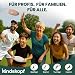 Kindskopf Frisbean – 100% Nachhaltige Frisbee Scheibe aus Kaffeesatz & recyceltem Kunststoff – Ultimate Frisbee 175g Wurfscheibe für Profis & Familien – Deutsche Innovation