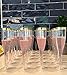 Oojami 30 pc Gold Rimmed Clear Classicware Glass Like Champagne Toasting Flutes