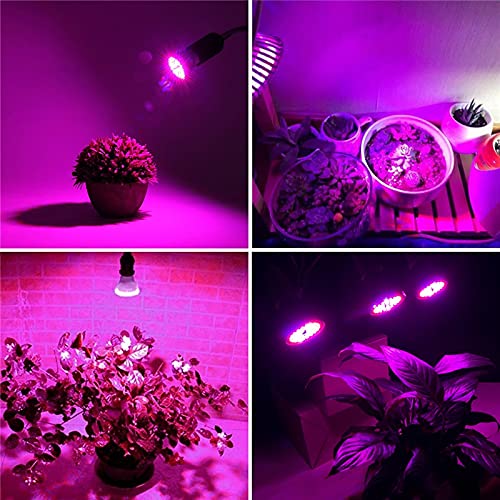 Lámpara LED para crecimiento de plantas con casquillo E27 para un florecimiento sano 4