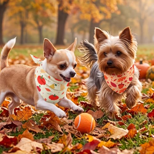 Image of Abbylike 50 Pcs Fall Dog Bandanas Bulk, Autumn Harvest Pumpkin Pattern
