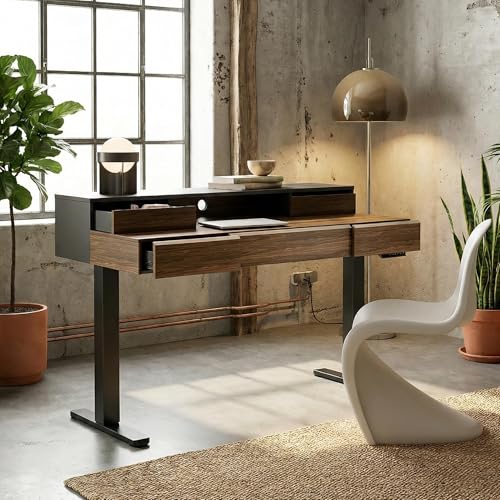 Image of ErGear Electric Standing Desk with 5 Solid Wood Drawers, 48 x 26 Inches Whole Piece Desktop, with Desktop Riser Stand, Compatible with C-Clamp Monitor Arms, Modern Office Desk, Dark Walnut