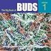 The Big Book of Buds: Marijuana Varieties from the World's Great Seed Breeders