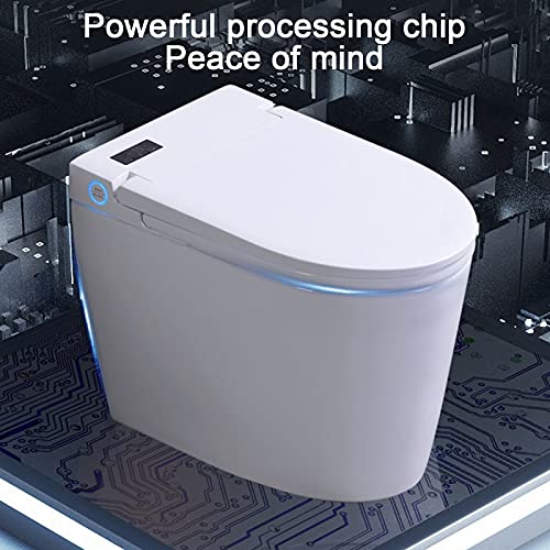 Elongated One Piece Smart Toilet - Toilets For Bathrooms Advanced Bidet Toilet Seat With Lcd Soft Closing Seat Automatic Flushing Drying Hot Heating Water Memory Function Toilet Seat (Version E) #TOP7
