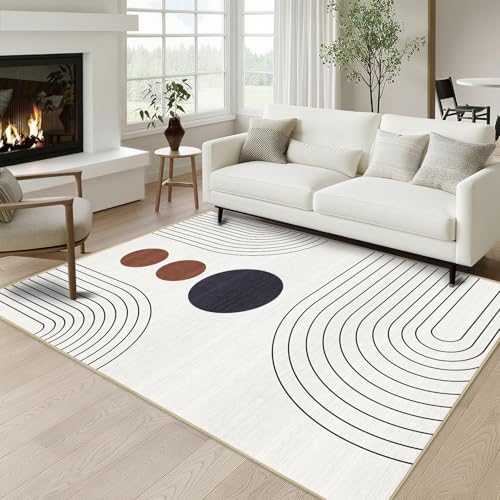 Boho 4x6 Geometric Minimalist Rug