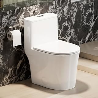 CANEST Compact One Piece Toilet for Bathrooms, Round Small Toilet with Siphon Dual Flush and MAP 1000g, Quiet Soft Close Seat, Space Saving, Standard 12" Rough-In, Easy Clean Ceramic Short Bowl
