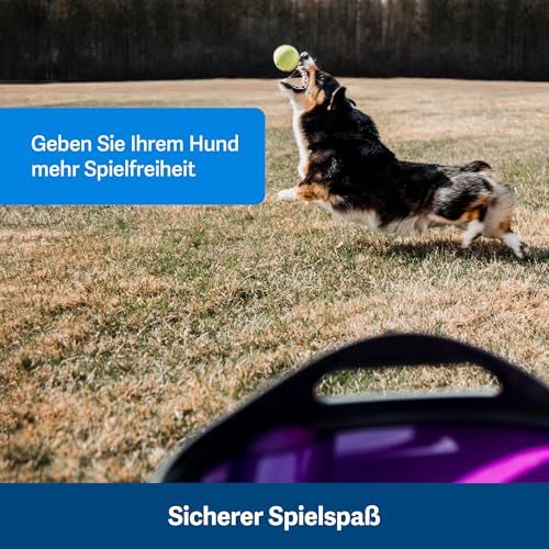 PetSafe Automatischer Ballwerfer für Hunde, Wurfweite zwischen 2,5-9 Meter, Regenresistent mit Bewegungssensoren, Grau/Lila.