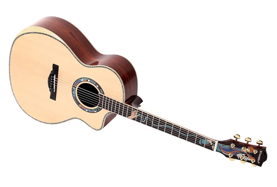 アコースティックギター スプルースボディ Amazon | Stansen T-930Cアコースティックギター、Cocobolo GF