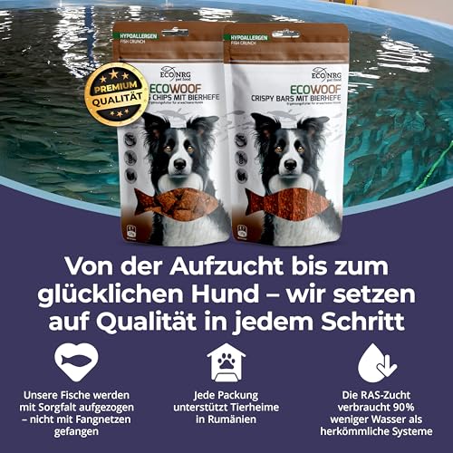ECO WOOF Fisch Hundeleckerli - Getrocknete Wels Chips 97% mit Bierhefe - 375 g - Getreidefrei - Single-Protein - Mit Omega 3 - Unterstützt stabile Darmflora & Verdauung - Nicht fettend & Geruchsarm