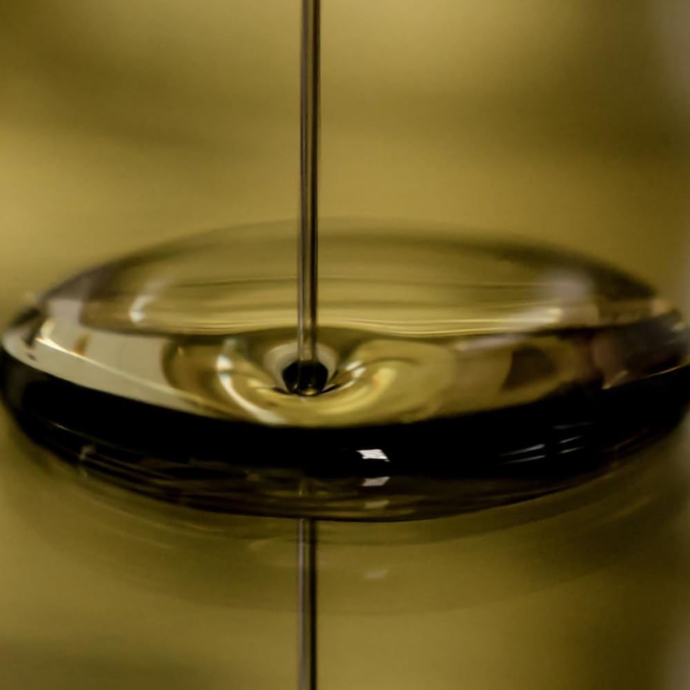acquaverde | 12 Lattine per Olio di Oliva, Lattina Verde con Gocce, in Metallo, Contenitore Alimentare, Latta da 5 Litri con Tappo Ermetico e Maniglia