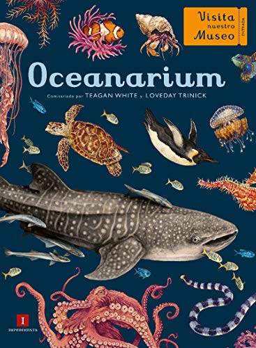 Oceanarium: 35 (EL CHICO AMARILLO)