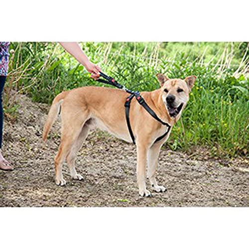 Karlie Auto-Sicherheitsgeschirr Nylon L: 50 - 70 cm L schwarz