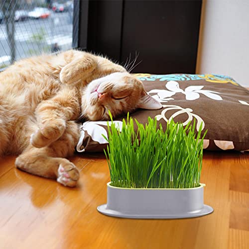 Bandeja para Plantas - Bandeja de Propagação Plant Grow Mat,Plantas de jardim crescem bandejas para
