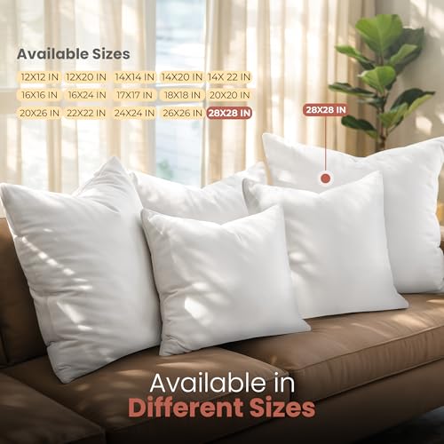 Image of Utopia Bedding Throw Pillows Insert (Pack of 2, White) - 28 x 28 Inches Bed and Couch Pillows - Indoor Decorative Pillows
