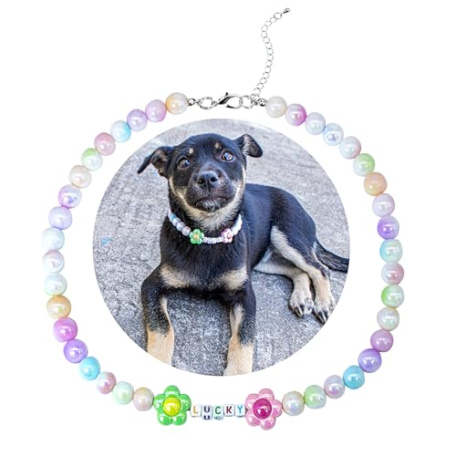 SM4BED ̎ p[lbNXAJtȌ̂r[YAK^ƈ炵ԁA߉\ȃybgWG[A^pAXL 17C`