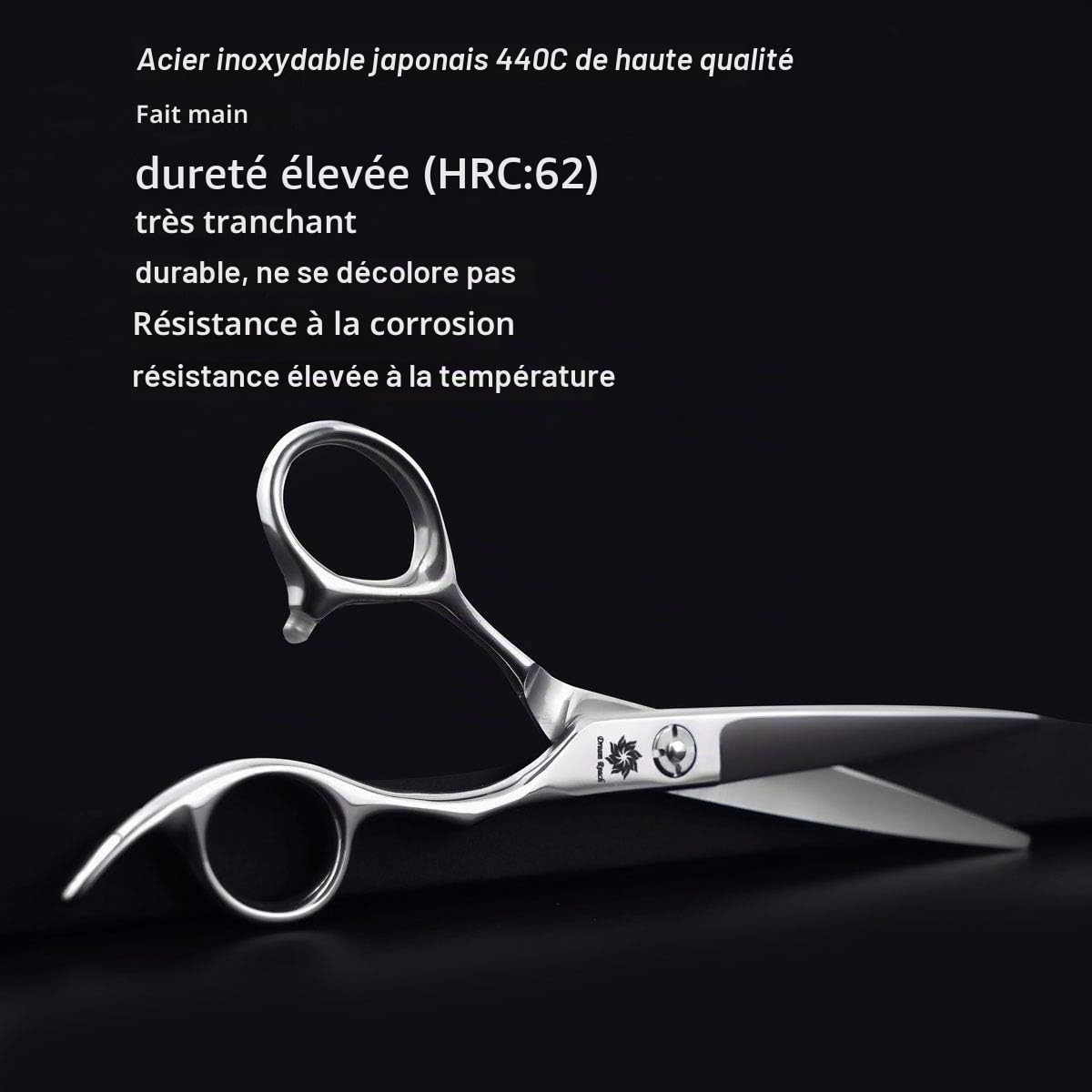 Dream Reach Ciseaux à cheveux Ciseaux de coiffure Ciseaux de coupe de cheveux Ciseaux pour Coiffeur Barbier pointus Acier inoxydable japonais 440C artisanal Coupe précise pour Salon
