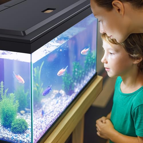 Image of LED Aquarium Hood, Colored Lights, Fits 24 inch Framed Aquariums, Black