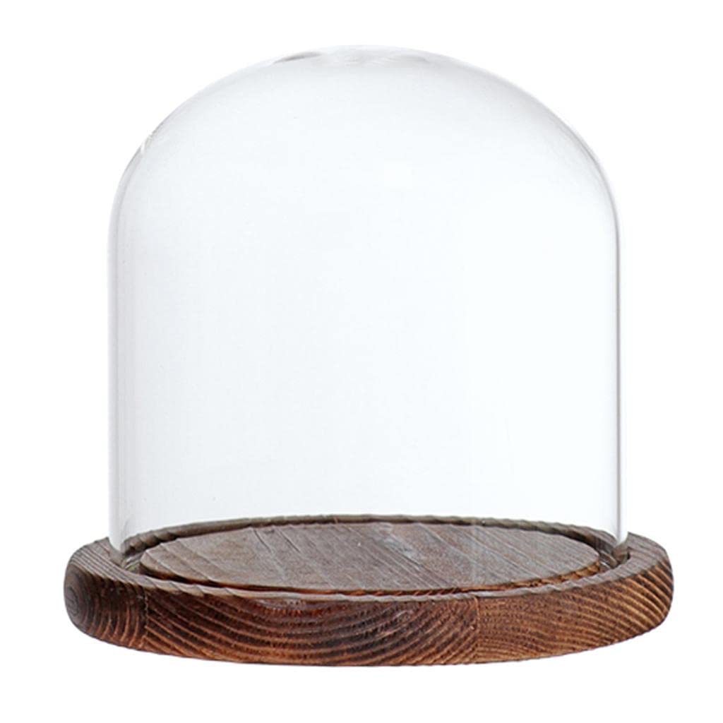 Fenteer Glashaube Glasglocke Glassturz mit Holzboden DIY Landschaften Fairy Garten Terrarium, Braun E