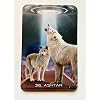 The Pleiadian StarSeed Oracle Deck: A 44-Card Deck w/ Star Transmissions from The Pleiades and Guidebook for StarSeeds