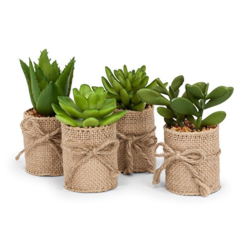 Abbott Collection Set Of 4 Green Succulents In Burlap Wrap #TOP7
