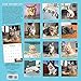 Cats on Catnip Wall Calendar 2024: A Year of Cats Living the High Life and Feeling Niiiiice