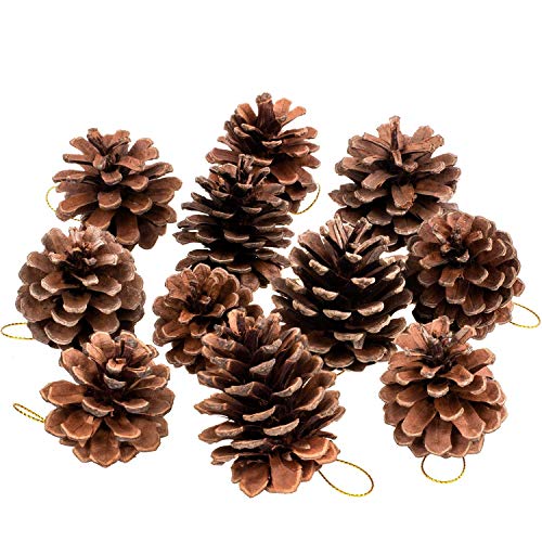 HDMI SM Natale pigne, Brown, 12 pz