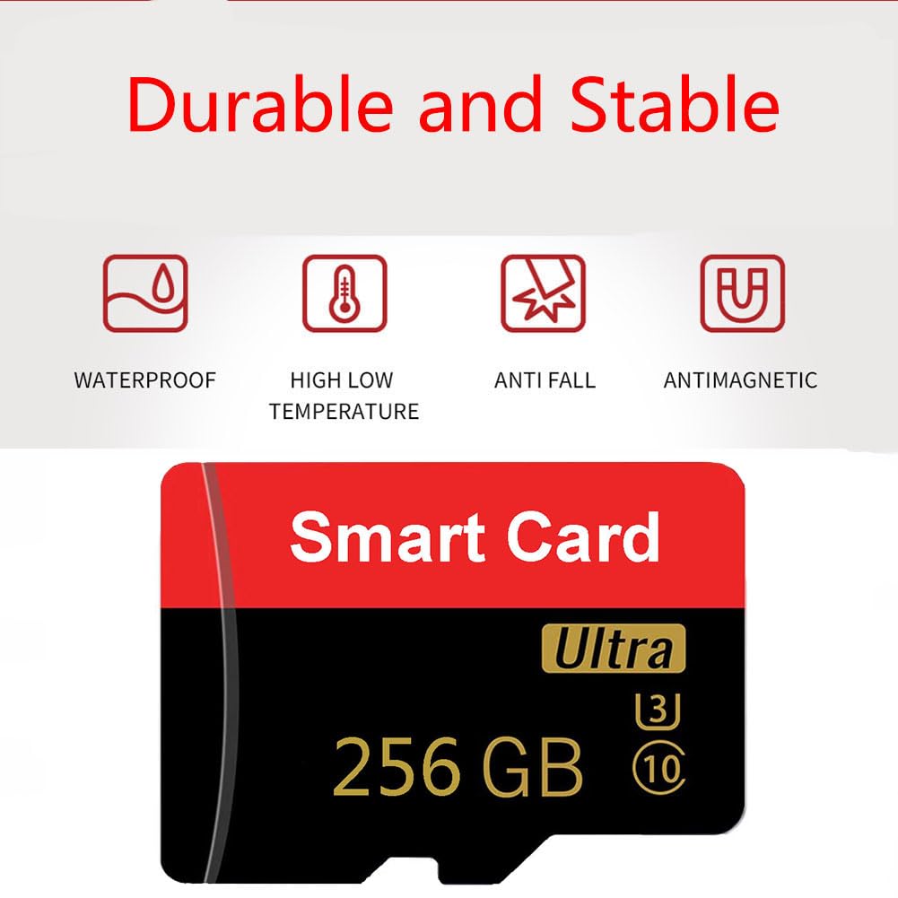 Scheda di memoria da 256 GB Mini TF Card ad alta velocità Smart Card per telefoni Android, Action Camera, Tablet