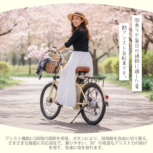 Assuto 電動アシスト自転車 ASKENU4-P1 の商品画像 5