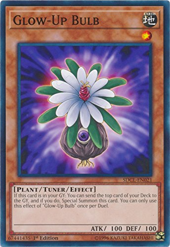 Glow-Up Bulb - SDCL-EN021 - Common - 1st Edition - Structure Deck: Cyberse Link (1st Edition)