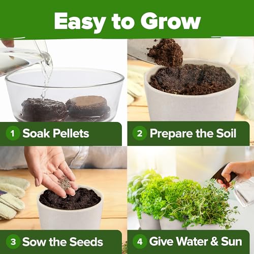 image for HOME GROWN Indoor Herb Garden Starter Kit - Christmas Gift for Gardene