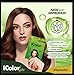 iColor Organic Hair Dye Shampoo Medium Brown 25ml (0.85 ounces) x 10 sachets in a box, shampoo-in hair color, dye,Medium brown hair in 20-30 minutes, DIY, convenient, easy to use