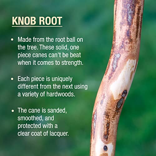 image for Brazos Rustic Wood Walking Cane, Hardwood, Knob Root Style Handle, for