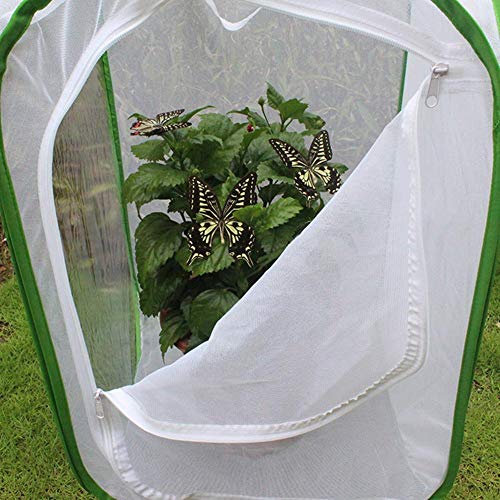 Portable Caterpillar Habitat, Breeding Cage, Habitat, for Backyard Cage Incubator Cultivate Insect(40 * 40 * 60cm) - Image 4