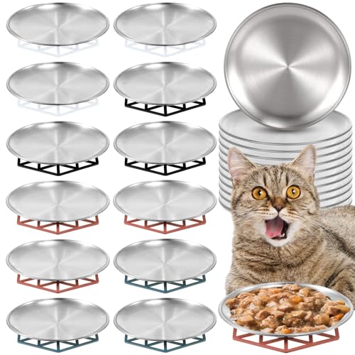 Dog Whiskers Vs Cat Whiskers My Pets Guide