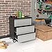 Reemoon Rolling Garage Storage Cabinet with Wheels, Metal Tool Storage Cabinet with 3 Drawers, Black & Gray