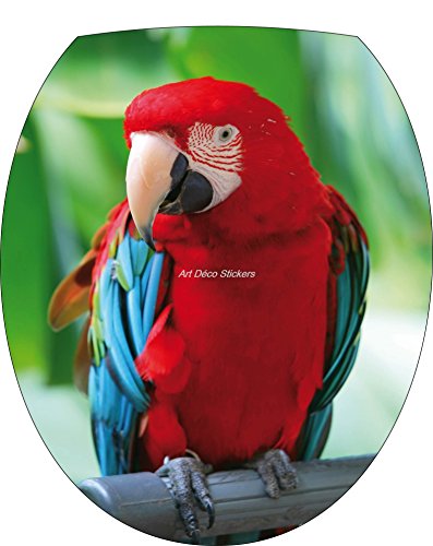 Preisvergleich Produktbild stickersnews Sticker WC, für WC-Sitz Papagei