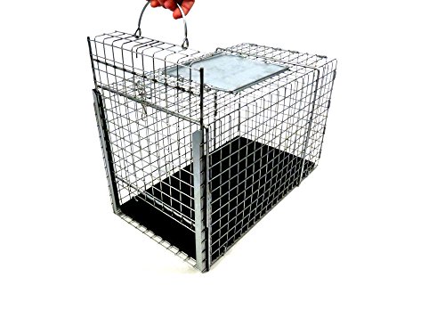 Tomahawk Live Trap - Model 306NC - Tomahawk TNR Series Transfer Cage - 20x11x12
