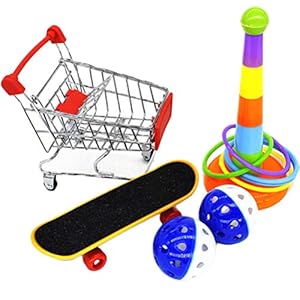 POPETPOP Papegaai Puzzel Speelgoed Set Papegaai Skateboard Trolley Bel Bal Beentje Vogel Educatieve Training Speelgoed…