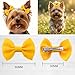 QingHan Hair Bows for Small Dog - 2 inch Pet Bowknots 60pcs (30 Pairs) - Puppy Dogs Grooming Hair Accessories - Dog Hair Clips for Yorkie, Maltese, Shih Tzu