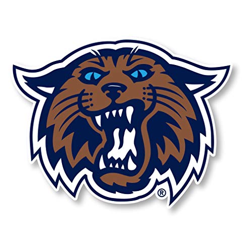 Villanova Wildcats 4 Inch Vinyl Mascot Magnet Officially Licensed Collegiate Product